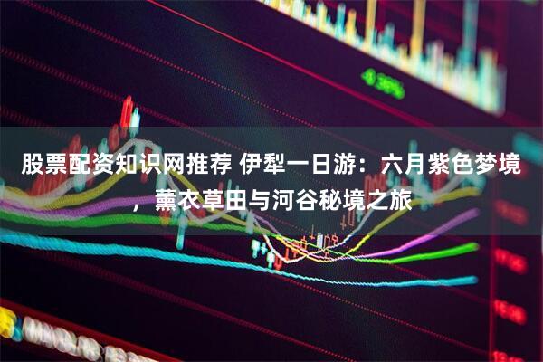 股票配资知识网推荐 伊犁一日游：六月紫色梦境，薰衣草田与河谷秘境之旅