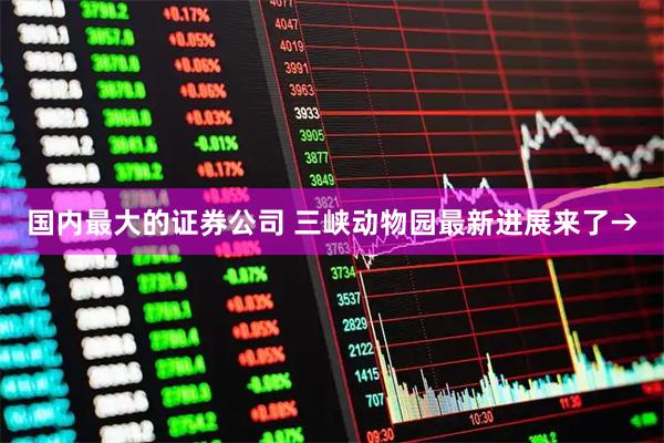 国内最大的证券公司 三峡动物园最新进展来了→